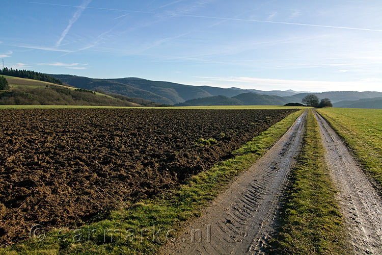 Wandelend tussen de weilanden met een schitterend uitzicht over de Eifel bij Sierscheid