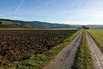 Wandelend tussen de weilanden met een schitterend uitzicht over de Eifel bij Sierscheid