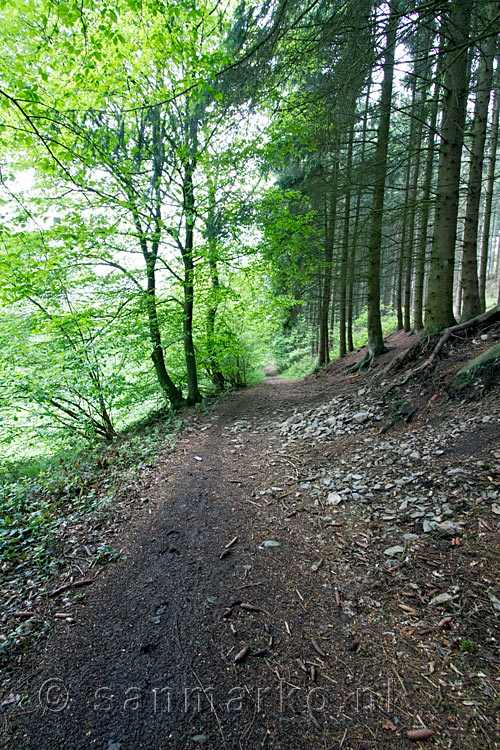 Het wandelpad langs de Tiefenbach bij Vossenack in de Eifel