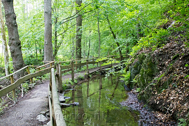 Een schitterend wandelpad langs de Richelsbach bij Vossenack