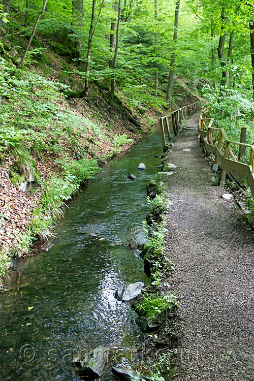 Uitzicht op het wandelpad bij de Richelsbach tijdens de wandeling