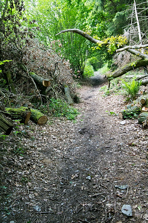 Het wandelpad terug naar Vossenack in de Eifel in Duitsland