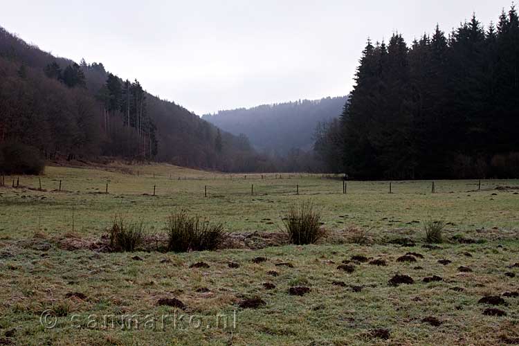 Een mooi uitzicht tijdens onze rondwandeling bij Wershofen in de Eifel