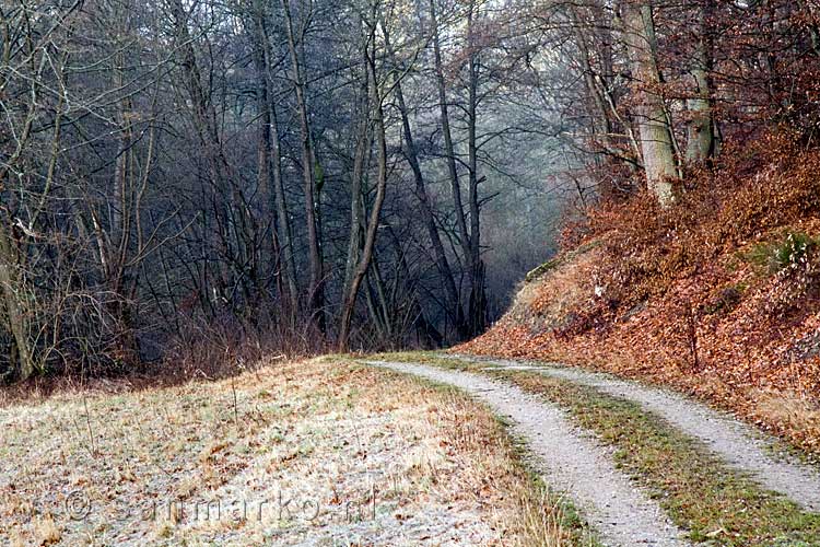 Het wandelpad in de bossen bij Wershofen in de Eifel in Duitsland