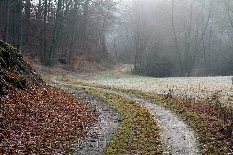 Vorst op de grond tijdens onze rondwandeling bij Wershofen in de Eifel