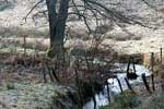 De Borner Bach kronkelt door het Eifel landschap bij Wershofen