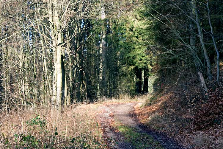 Een zonnig wandelpad bij Wershofen in de Eifel in Duitsland