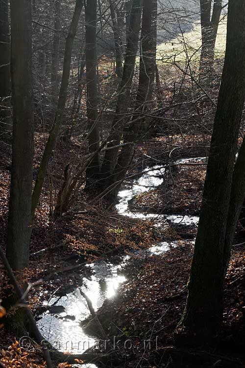 Een van de zijstroompjes van de Dreisbach bij Wershofen in Duitsland