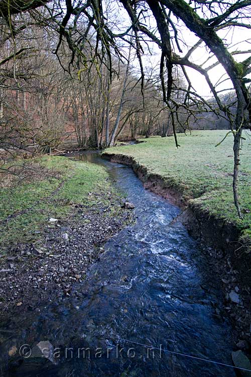 De Dreisbach bij Wershofen in de Eifel in Duitsland