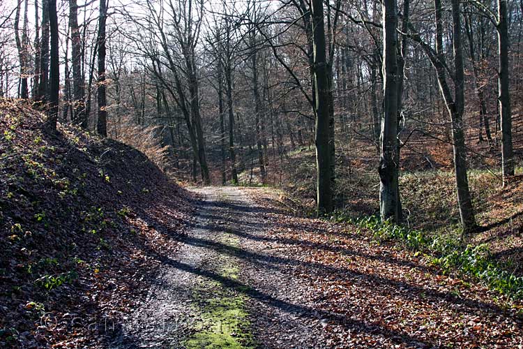 Het wandelpad langs de Dreisbach terug richting Wershofen