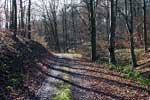 Het wandelpad langs de Dreisbach terug richting Wershofen