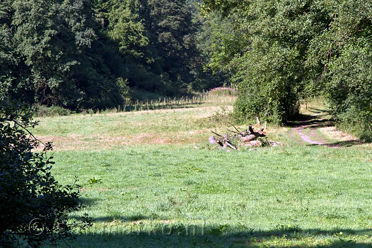 Wandelen door de schitterende natuur bij Zerkall bij Nideggen in de Eifel