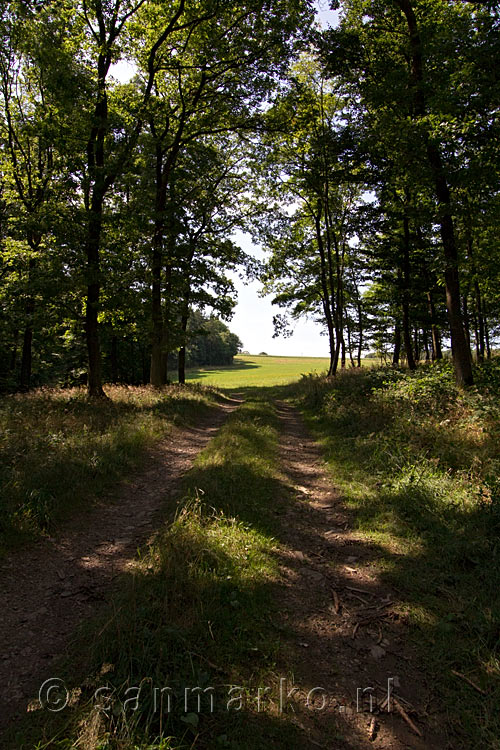 Uitzicht vanaf het wandelpad richting weilanden bij Harscheidt in de Eifel