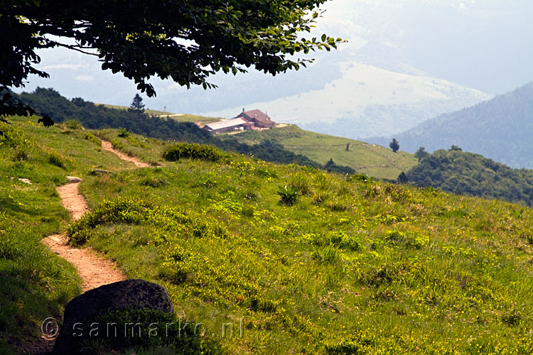 Kastelbergwasen vanaf de Route des Crêtes over de Kastelberg