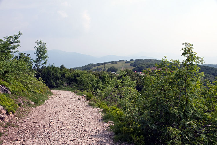 Het wandelpad naar de Grand Ballon in de Vogezen