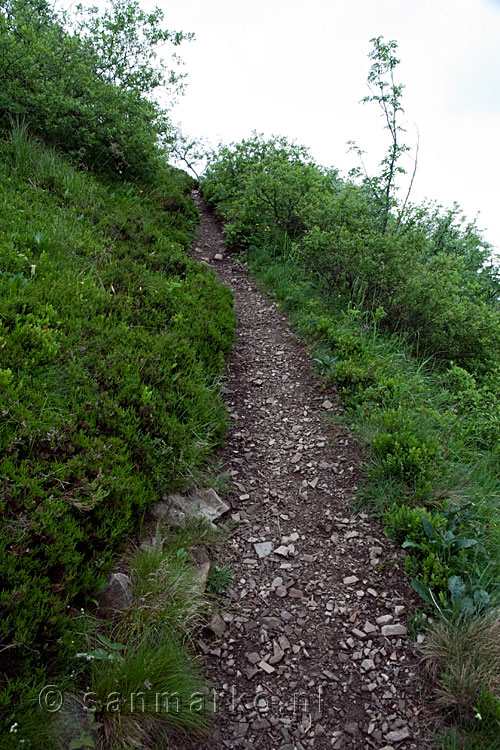 Het wandelpad naar beneden op de Grand Ballon in de Vogezen