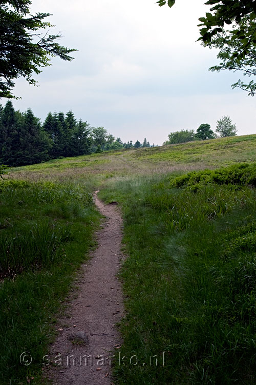 Het wandelpad op La Vieille Montagne in de Vogezen