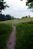 Het wandelpad op La Vieille Montagne in de Vogezen