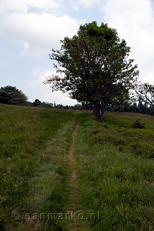 Het wandelpad over La Vieille Montagne in de Vogezen