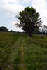 Het wandelpad over La Vieille Montagne in de Vogezen