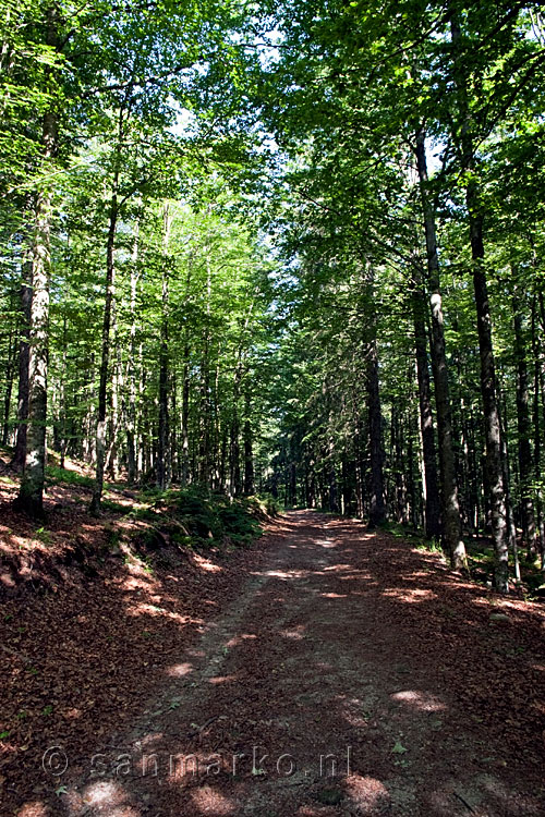 Het wandelpad van Col de Bramont naar Tourbière de Machais