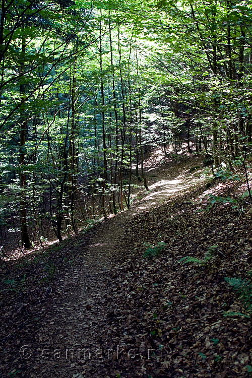 Over de GR5 terug naar Col de Bramont in de Vogezen