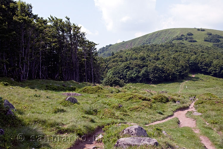 De Rainkopf vanaf de Route des Crêtes naar de Kastelberg in de Vogezen