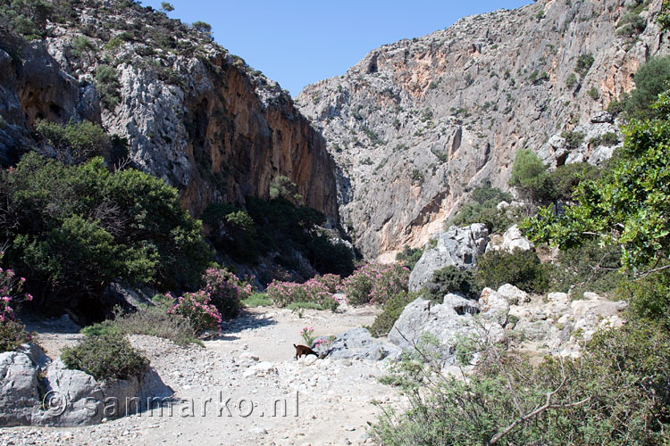 Het begin van de Agiofarago kloof