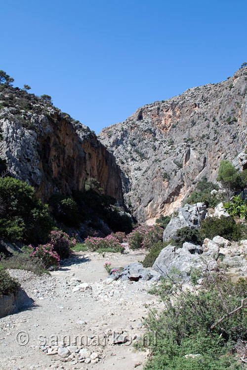 Het wandelpad door de Agiofarago kloof op Kreta