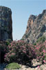 Oleanders in de Agiofarago kloof op Kreta