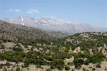 Uitzicht over de bergen rondom het Nida Plateau op Kreta