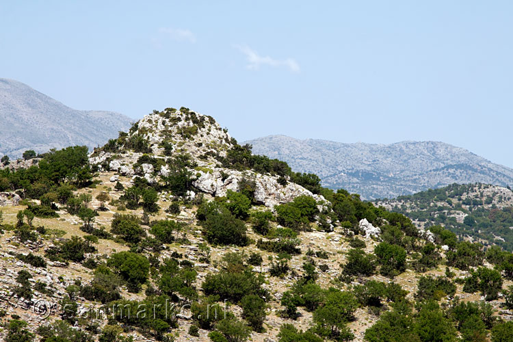 De omgeving van het Nida Plateau op Kreta in Griekenland