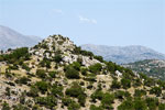 De omgeving van het Nida Plateau op Kreta in Griekenland