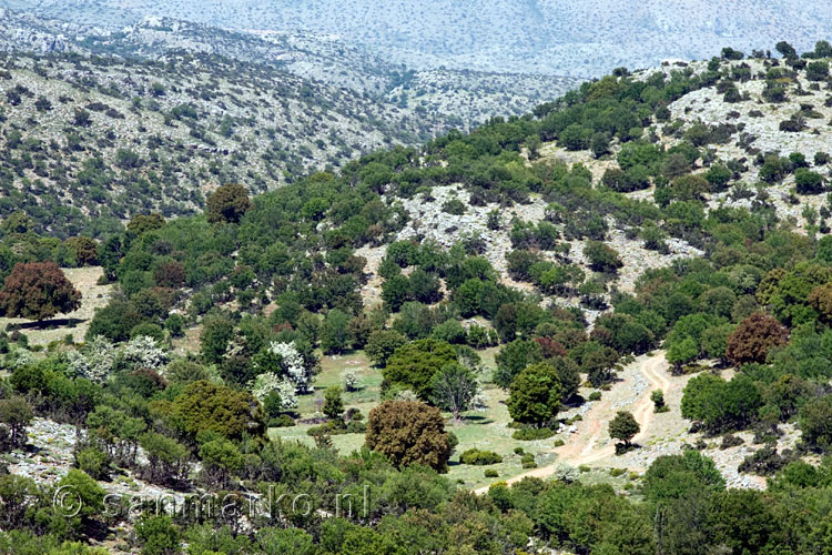 Het landschap onderweg naar het Nida Plateau op Kreta in Griekenland