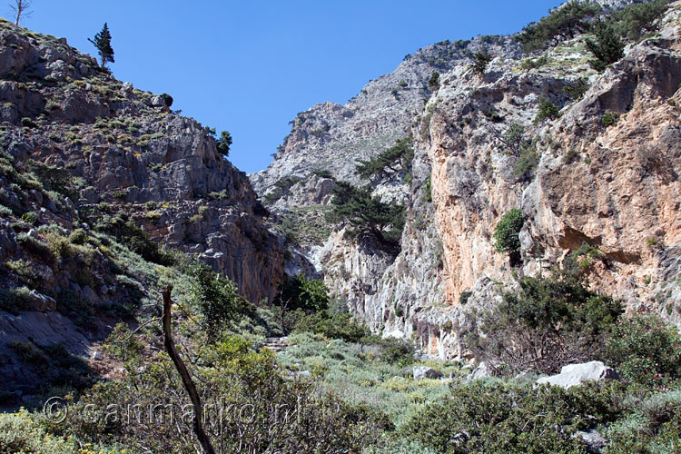 Het begin van de Rouvaskloof op Kreta in Griekenland