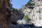 Het wandelpad slingert door de Rouvaskloof op Kreta