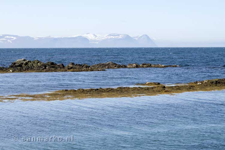 In de verte liggen zeehonden op de rotsen bij Illugastaðir in IJsland