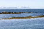 In de verte liggen zeehonden op de rotsen bij Illugastaðir in IJsland