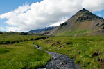 Wandelen door de weilanden van Arnarstapi naar Hellnar op Snæfellsnes