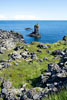 De basalt creëert schitterende sculpturen aan de kust bij Arnarstapi