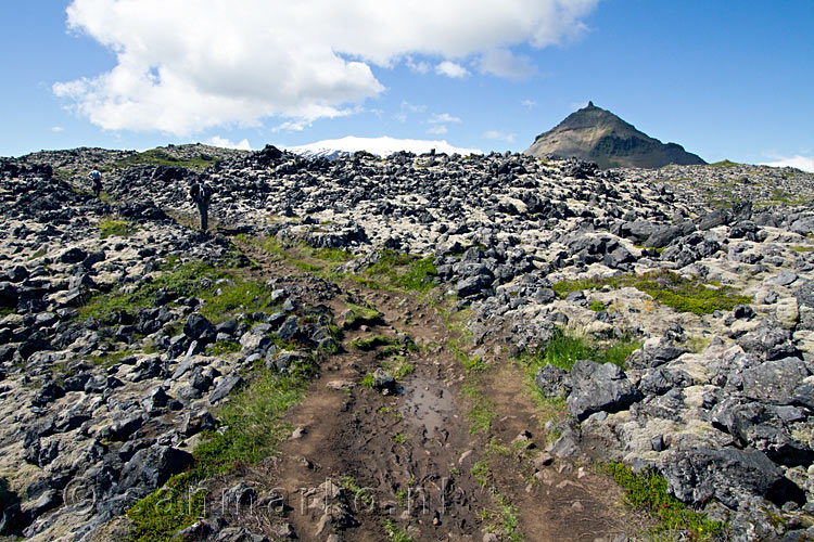 Het wandelpad door de lavavelden van Arnarstapi naar Hellnar op Snæfellsnes