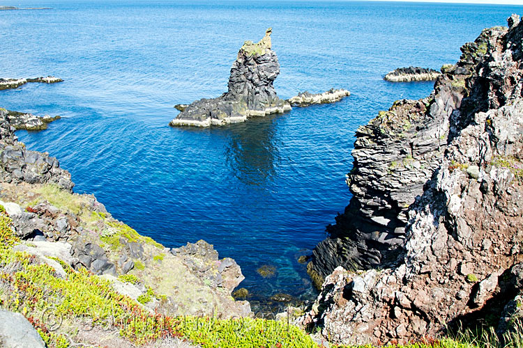 Schitterende basalt formaties voor de kust bij Arnarstapi op Snæfellsnes 