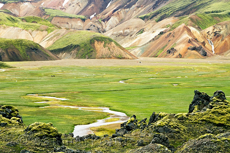 Uitzicht op de Ryolietbergen vanaf de Laugavegurinn  in Landmannalaugar