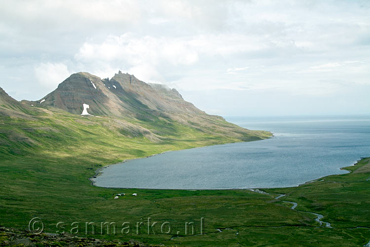 De Westfjorden op zijn best bij de Strandavegur op IJsland