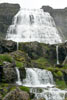 Op de terugweg kijken we nog even om naar de schitterende Dynjandi waterval aan de Vestfjarðavegur op de Westfjorden