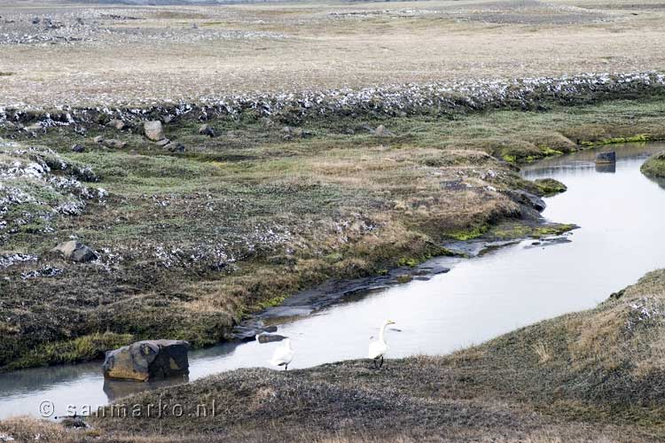 Verse sneeuw onderweg van Egilsstaðir naar Mývatn in IJsland