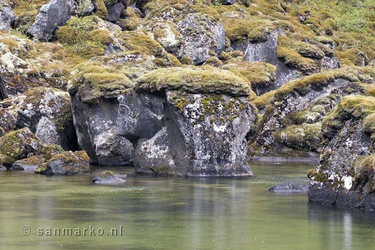 Met mos begroeide stenen tijdens de wandeling door Ásbyrgi in IJsland