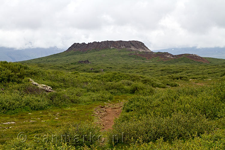 Het wandelpad richting de krater Eldborg op Snæfellsnes