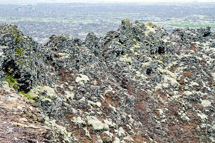 De grillige lava contouren op de kraterwand van Eldborg op Snæfellsnes