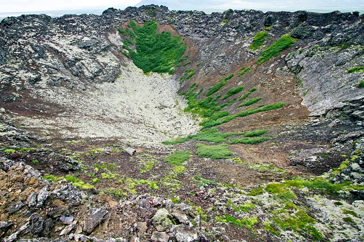 De verschillende kleuren mos in de krater Eldborg op IJsland